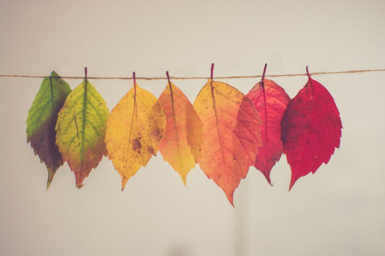Converting a Traditional IRA to a Roth IRA